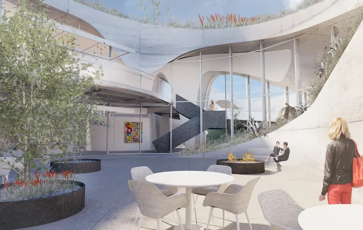 20 - Avocado - Day 2